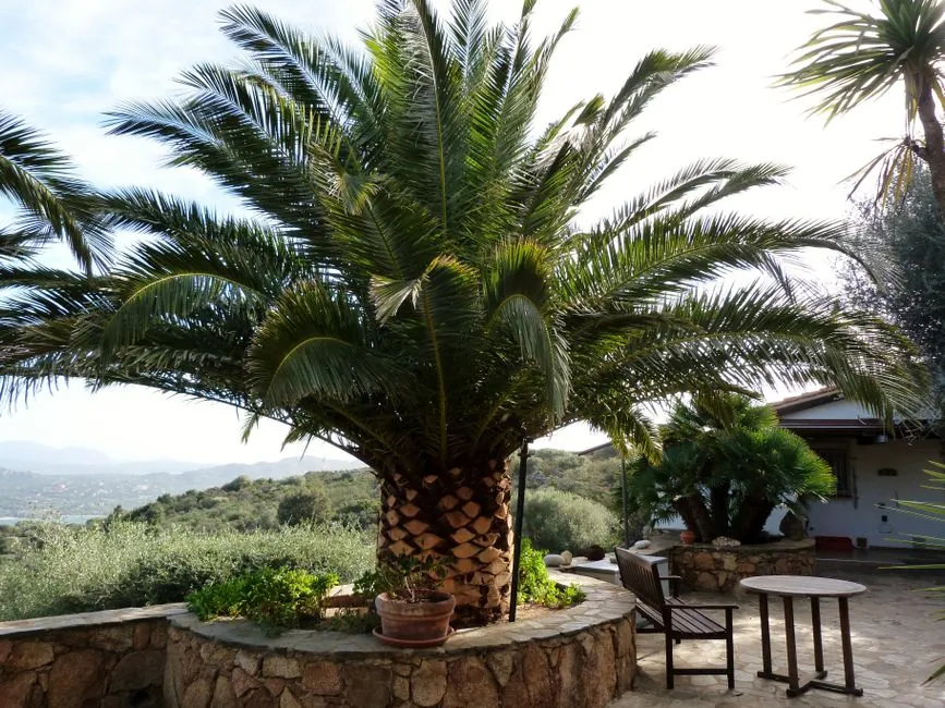 Entretien saisonnier d’un jardin antibois